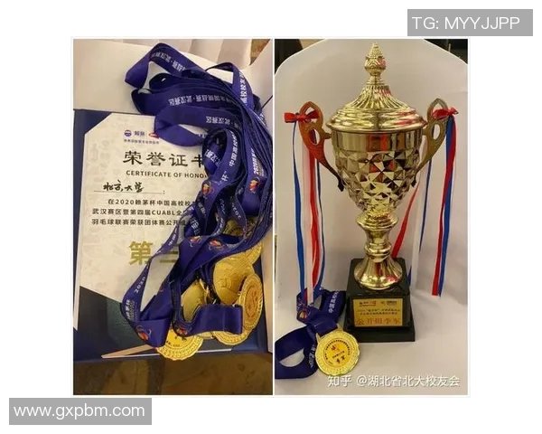 武汉羽毛球队个人能力分析与数据解读探讨