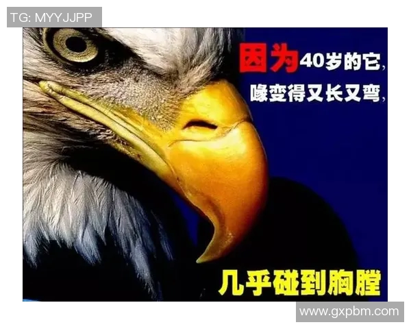 上海羽毛球队逆袭之路：从低谷到大师赛的辉煌蜕变
