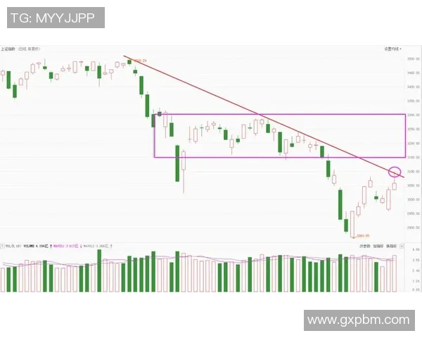 西安羽毛球队与南京羽毛球队赛后复盘探讨团队协作与战术配合的成功之道 西安羽毛球队与南京羽毛球队赛后复盘探讨团队协作与战术配合的成功之道