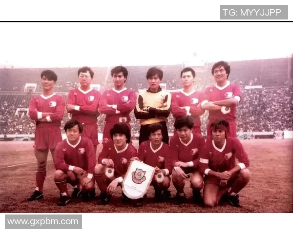 足球明星成龙的粉丝数量究竟有多少引发了广泛关注与讨论