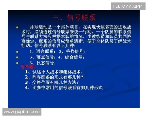 上海排球队的战术变革与球员转型深度解析 上海排球队的战术变革与球员转型深度解析